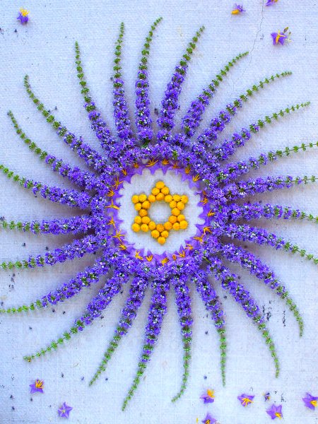 The Modern Human&nbsp;Condition